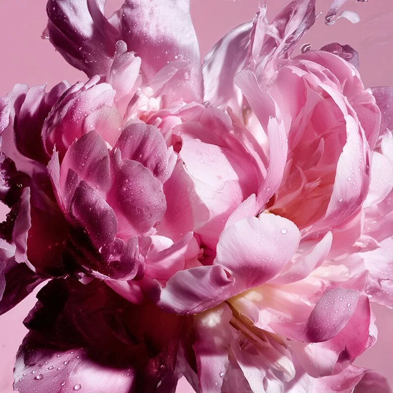 Viktor & Rolf Flowerbomb Pretty Peony parfémovaná voda pro ženy 30 ml