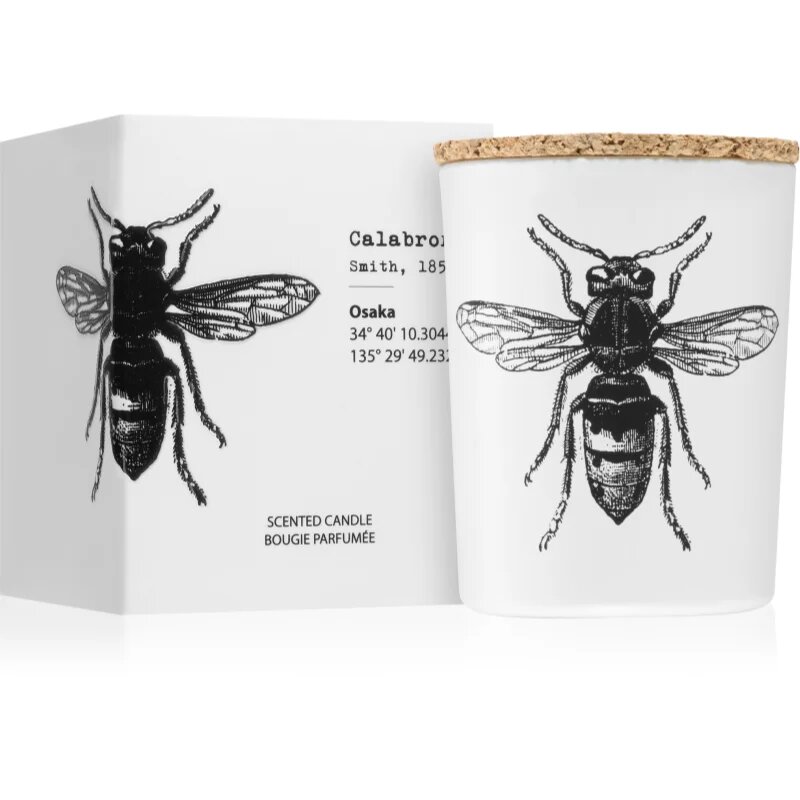 Vila Hermanos Insect Calabrone vonná svíčka 75 g