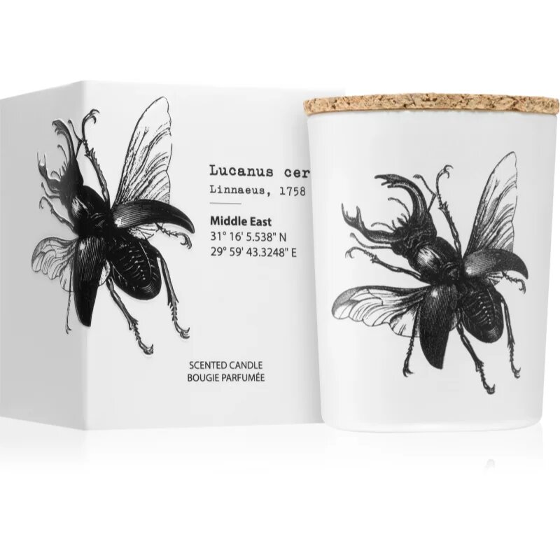 Vila Hermanos Insect Lucanus Cervus vonná svíčka 75 g