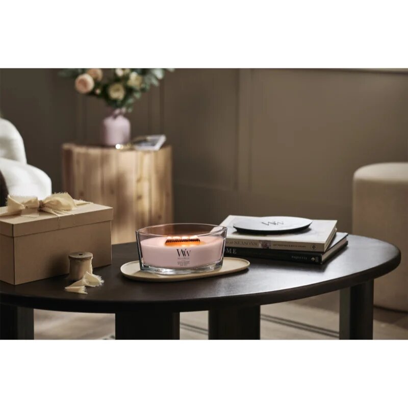 Woodwick Coastal Sunberry vonná svíčka s dřevěným knotem 453.6 g