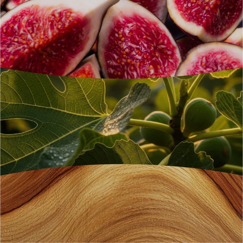 Woodwick Verdant Fig vonná svíčka s dřevěným knotem 453.6 g