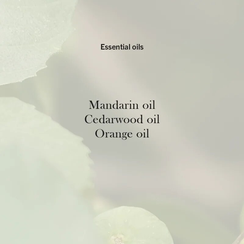 Woodwick Verdant Fig vonná svíčka s dřevěným knotem 85 g