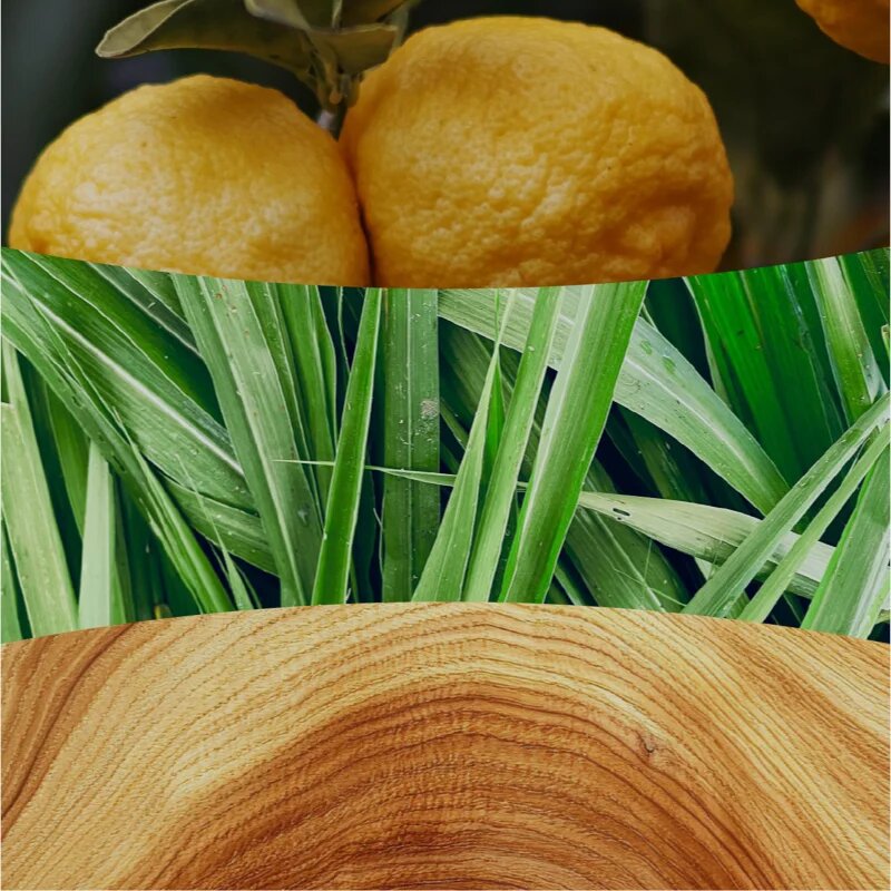 Woodwick Yuzu & Vetiver vonná svíčka s dřevěným knotem 85 g