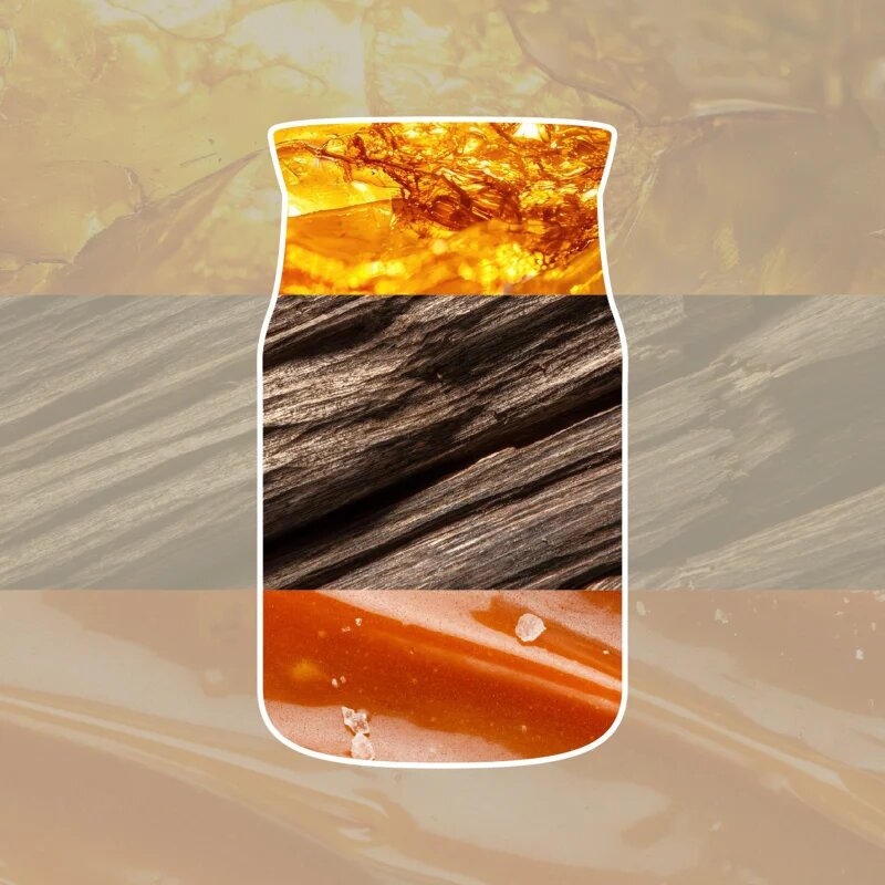 Yankee Candle Amber & Sandalwood vonná svíčka Signature 110 g