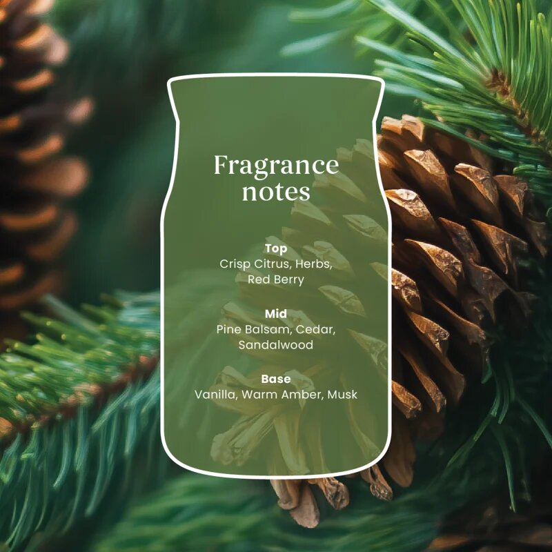 Yankee Candle Balsam & Cedar Fireside votivní svíčka 37 g