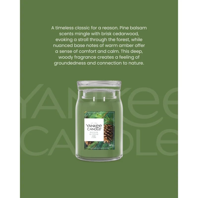 Yankee Candle Balsam & Cedar Fireside votivní svíčka 37 g