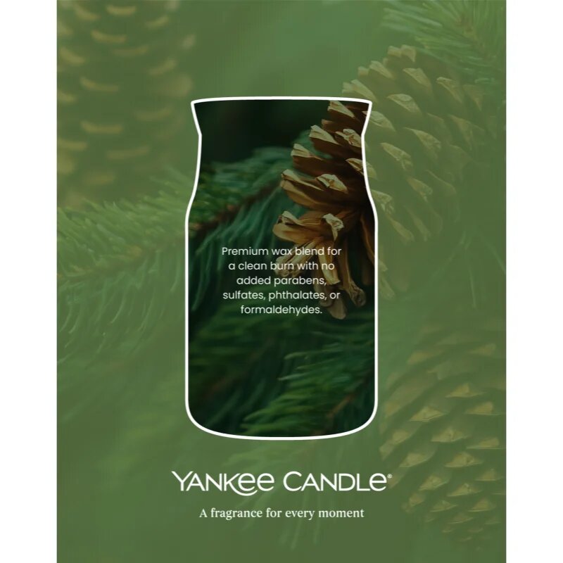 Yankee Candle Balsam & Cedar Fireside votivní svíčka 37 g