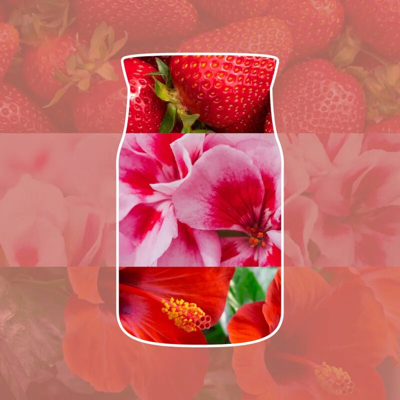Yankee Candle Cliffside Sunrise vonná svíčka 368 g