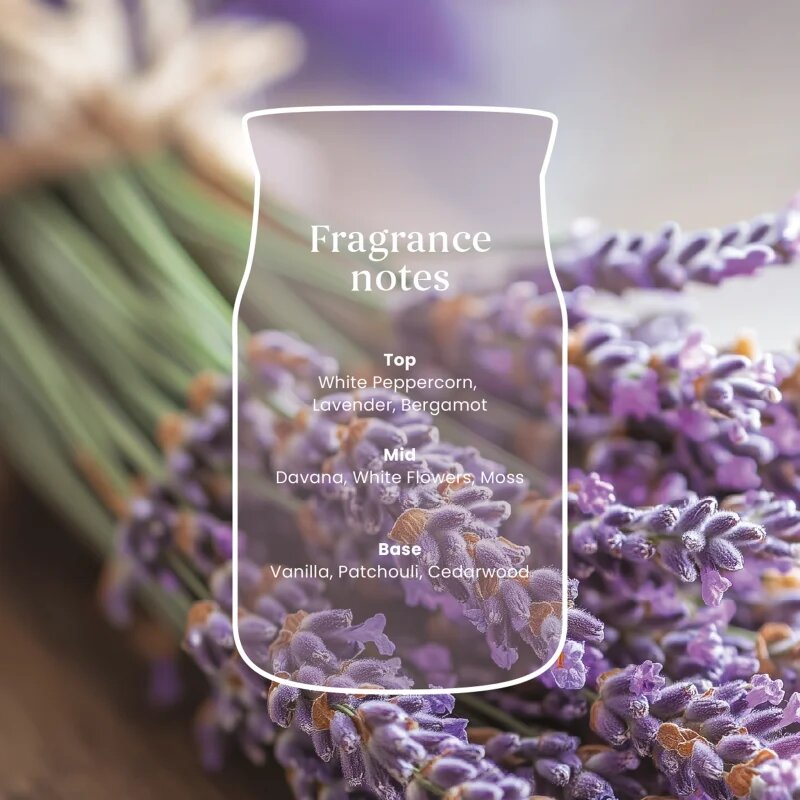 Yankee Candle Dried Lavender & Oak vonná svíčka Signature 110 g