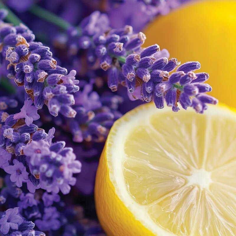Yankee Candle Lemon Lavender vonná svíčka Signature 110 g