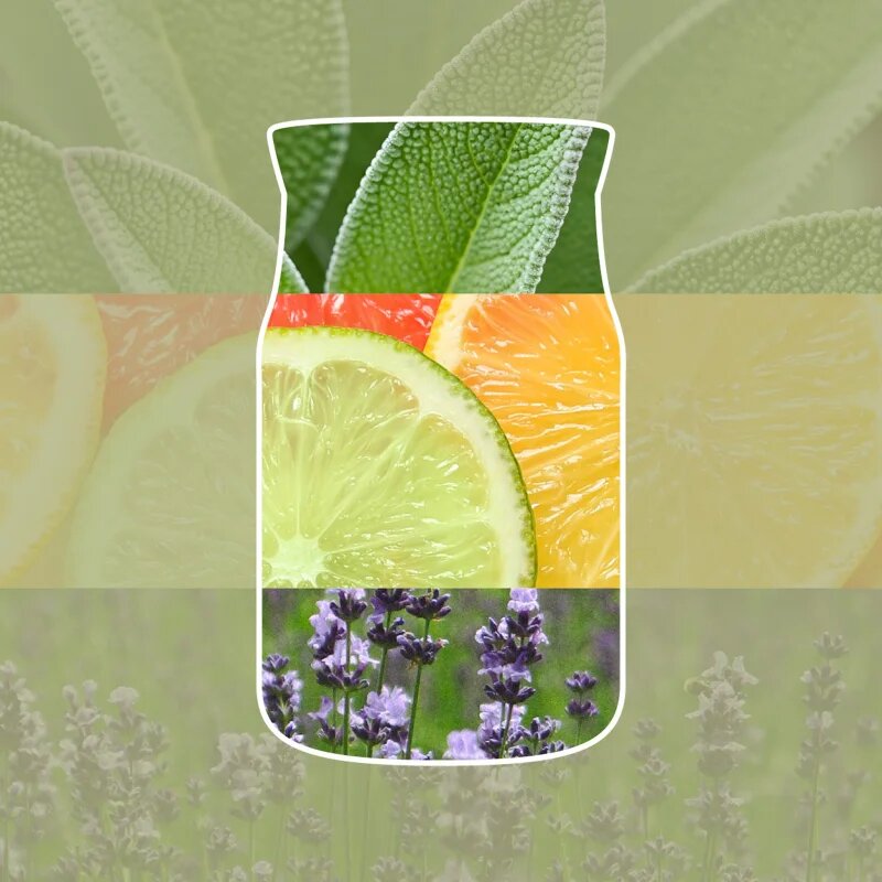Yankee Candle Sage & Citrus vonná svíčka Signature 110 g