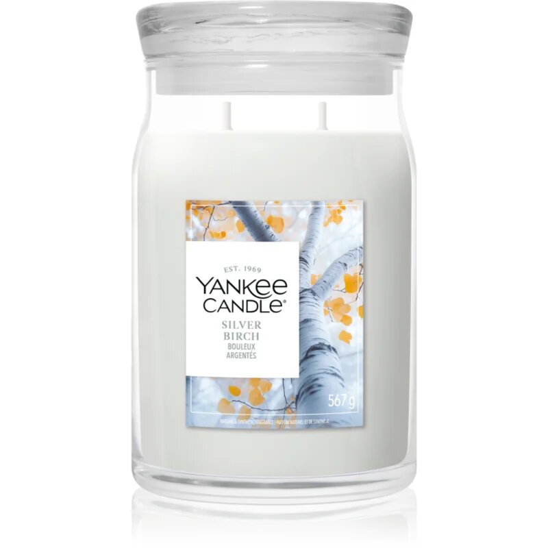 Yankee Candle Silver Birch vonná svíčka 567 g