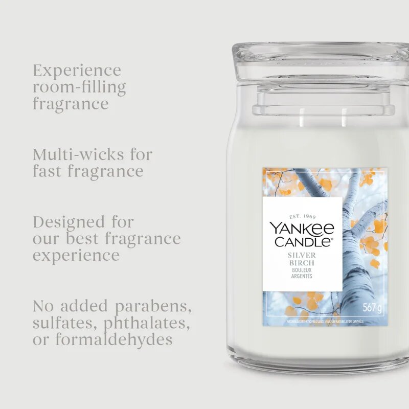 Yankee Candle Silver Birch vonná svíčka 567 g