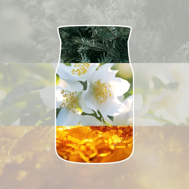 Yankee Candle Silver Birch vonná svíčka Signature 110 g
