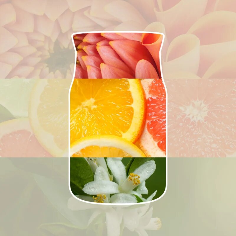 Yankee Candle Sun & Sand vonná svíčka Signature 110 g